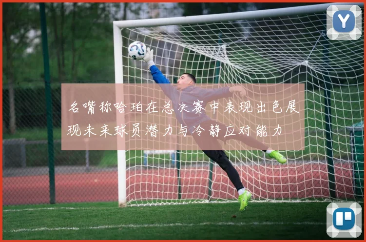 名嘴称哈珀在总决赛中表现出色展现未来球员潜力与冷静应对能力